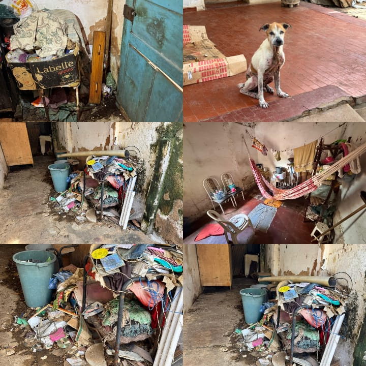 Idosa e 10 animais são resgatados em operação contra negligência