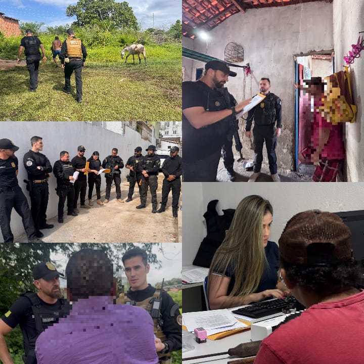 SSP realiza operação para coibir animais soltos e reduzir acidentes