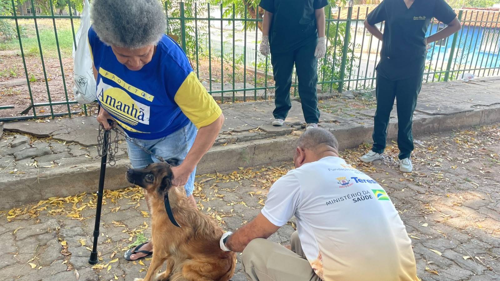 Teresina antecipa campanha antirrábica e vacinação ocorrerá