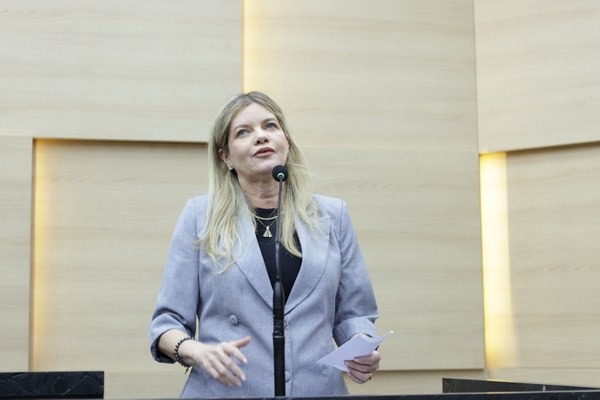 Projeto de qualificação profissional para mulheres, de Gracinha Mão Santa, é aprovado na Alepi