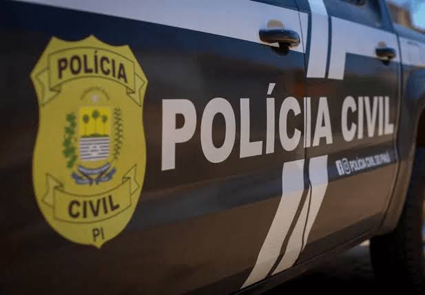 Suspeito de série de furtos e arrombamentos é preso pela Polícia Civil no município de Altos